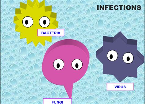 Infection and its various types - Overall Science