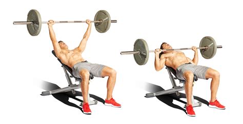 Incline Bench Press Workout Routine | EOUA Blog