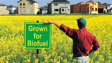 3 Types of Biofuels: Advantages and Disadvantages | Linquip