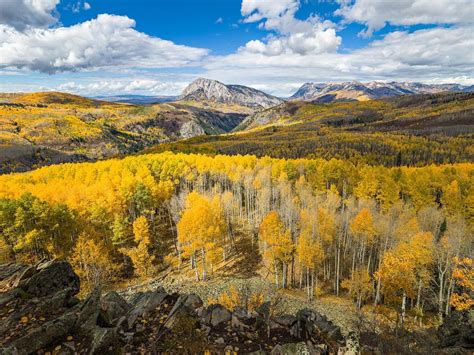 Colorado Foliage 2024 - Cindi Mallissa