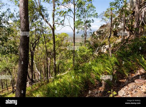 The Australian Countryside Stock Photo - Alamy