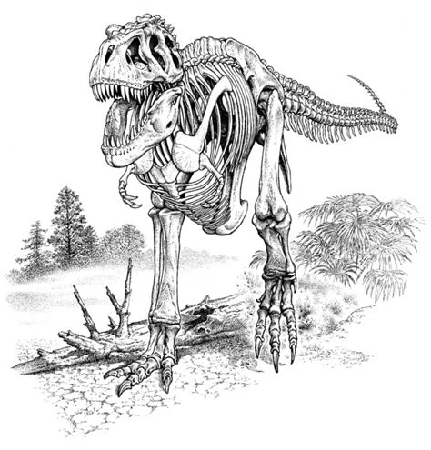 T Rex Skeleton Drawing at PaintingValley.com | Explore collection of T ...