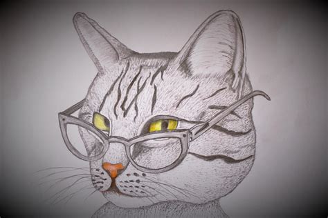 Cat wearing glasses : r/drawing