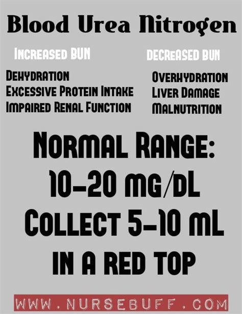 blood urea normal range - Julian Brown