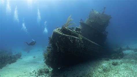 How Priceless Artifacts From A 350-Year-Old Spanish Shipwreck Might ...