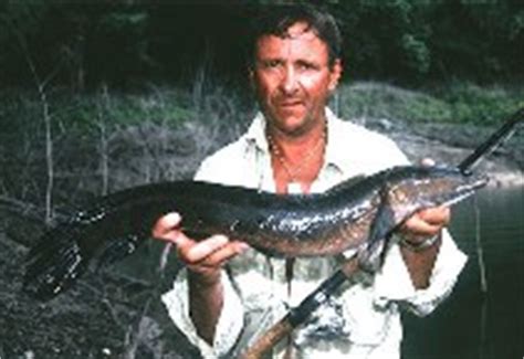 Channa marulius, Great snakehead : fisheries, aquaculture, gamefish ...