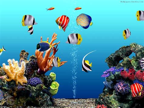 Aquarium Wallpaper Free - WallpaperSafari