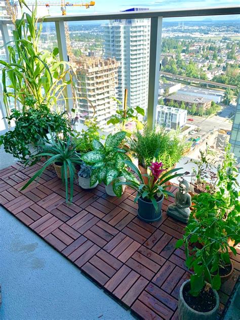 Balcony Garden - Sustainable garden in a small space - Tiffy Cooks