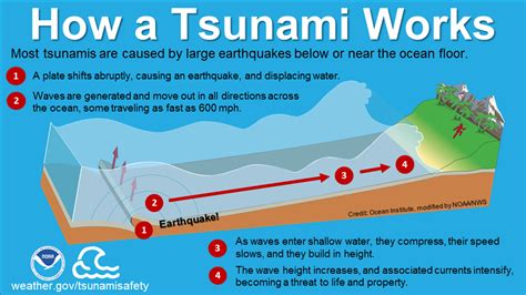 Tsunami Infographics