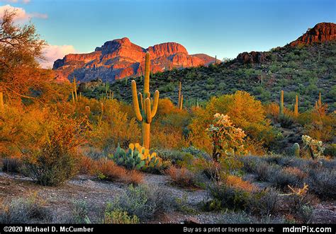 Sonoran Desert Sunset Color at Superstition Wilderness Picture ...