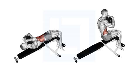 Dumbbell Decline Sit Up - Guide, Benefits, and Form