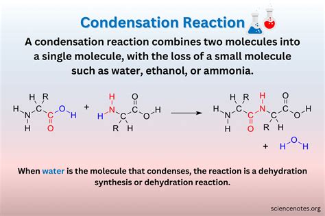 Condensation Reaction Definition and Examples | Condensation reaction ...