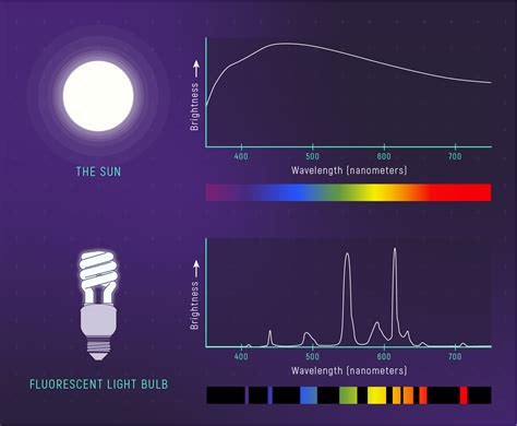 Daylight Spectrum Fluorescent Bulbs Cheap Sale | cityofclovis.org