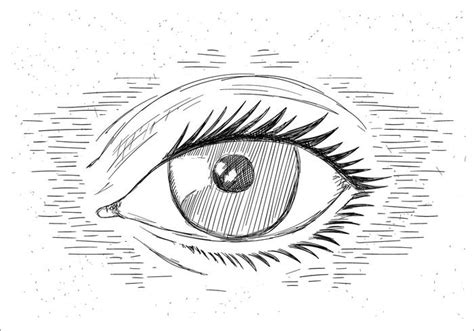 Hand Drawn Vector Eye 143517 Vector Art at Vecteezy