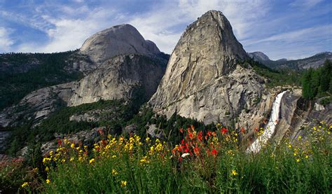 Solo Travel in Yosemite - The Redwoods In Yosemite