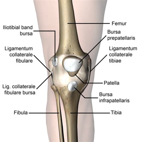 Prepatellar Bursitis - Physiopedia