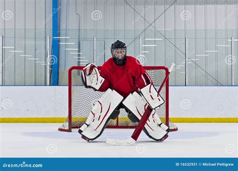 Ice Hockey Goalie Stock Image - Image: 16532931