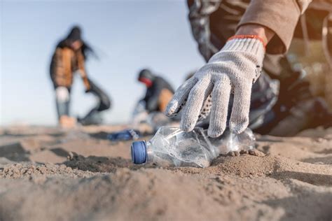 How to organise your own beach clean up