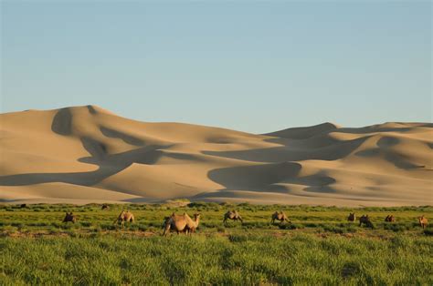 Gobi Desert in Asia: Everything You Need to Know - Traveladvo