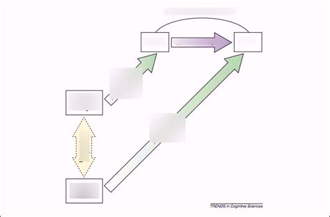 Consciousness Diagram | Quizlet