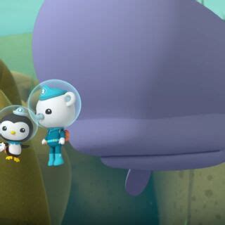 The Scared Sperm Whale/gallery | Octonauts Wiki | Fandom