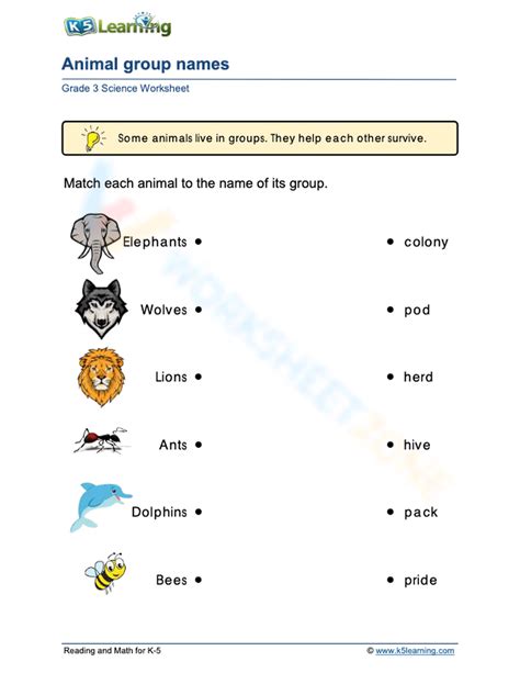 Animal Group Names Worksheet