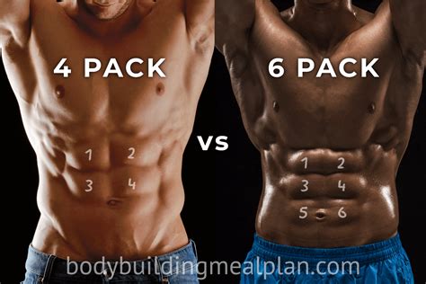 4 Pack Abs vs 6,8,10 Pack: Men & Women Genetics, Body Fat Percentage