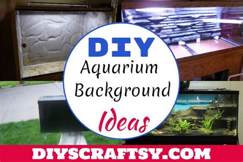 15 DIY Aquarium Background Ideas - DIYsCraftsy