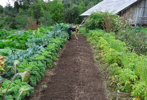 How to Plan a Prolific Family Food Garden (for 2, 4, or More) - Garden ...