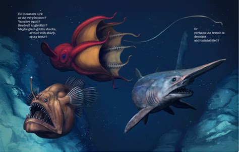 Mariana Trench Anglerfish