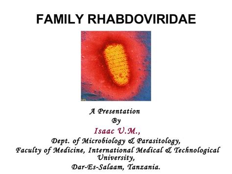 Family rhabdoviridae