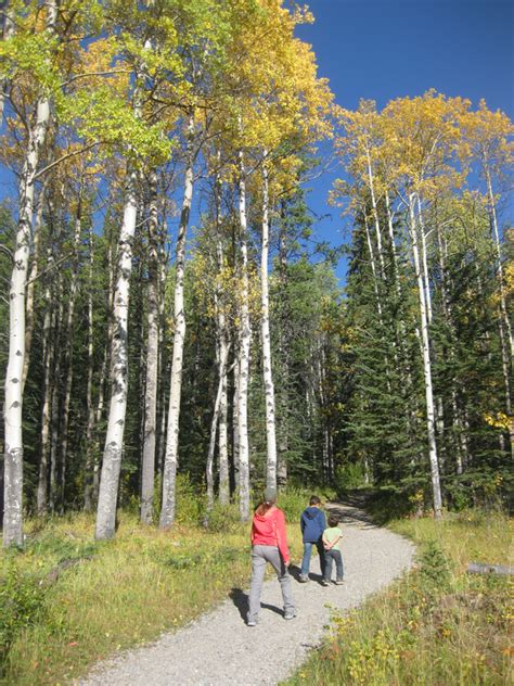 Banff Hiking Trails C Level Cirque in Banff National Park