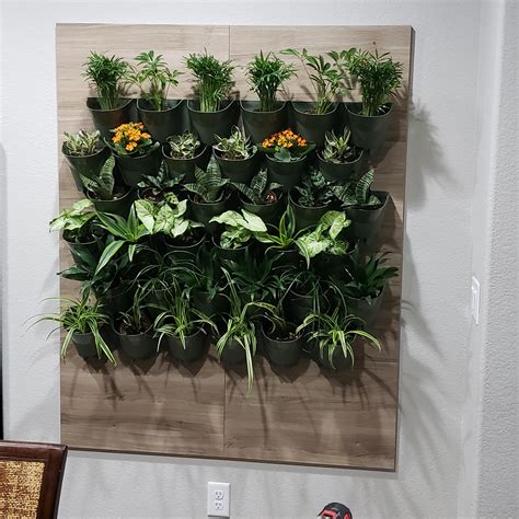 Made an indoor wall garden. : r/IndoorGarden