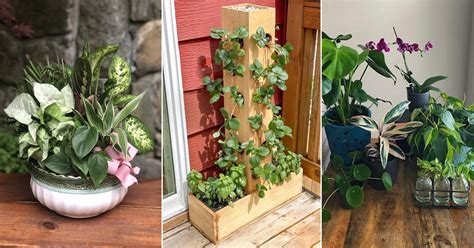 18 Small Space Gardening Ideas | Indoor Garden Web