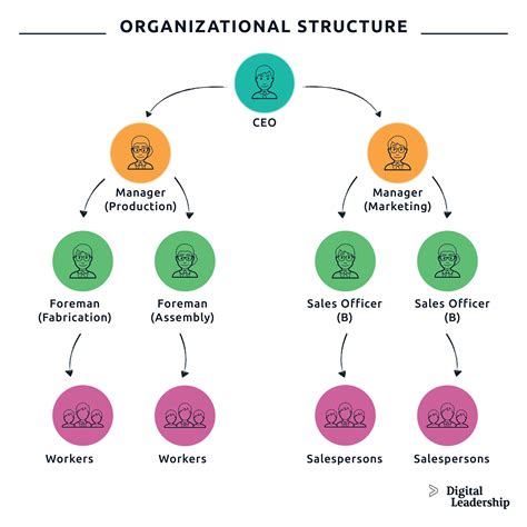 Business Organizational Structure | TGC – Thinkitive Global Consulting