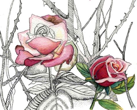 Greeting Card - Roses - Watercolor/Pen & Ink