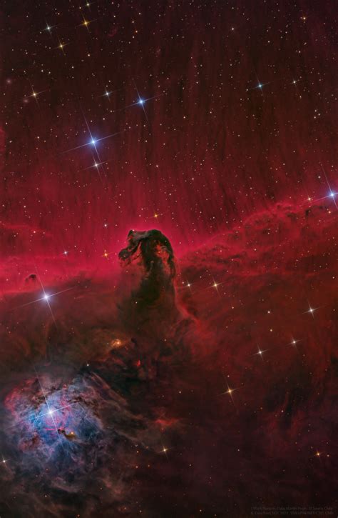 The Horsehead Nebula : r/pics