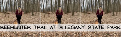 Allegany State Park | BeeHunter Trail Hike • Liggett Dog Training, LLC