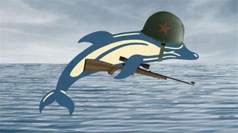 Killer dolphins? How Russia's navy is using trained marine mammals in ...