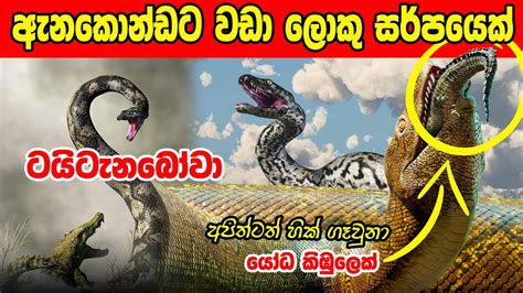 මිහිමත විසු දරුණු සර්ප දැවැන්තයා | Story of About Titanoboa - YouTube