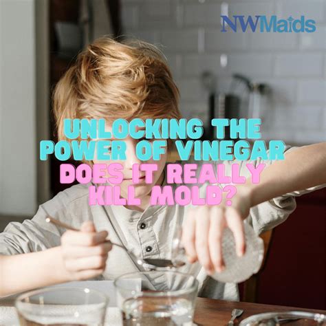 Unlocking the Power of Vinegar: Does It Really Kill Mold? | NW Maids