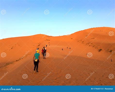 Climbing on Dune in Sahara Desert Editorial Stock Photo - Image of ...