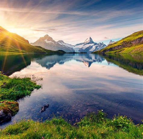 Colorful Summer Sunrise on Bachalpsee Lake with Schreckhorn and Stock ...