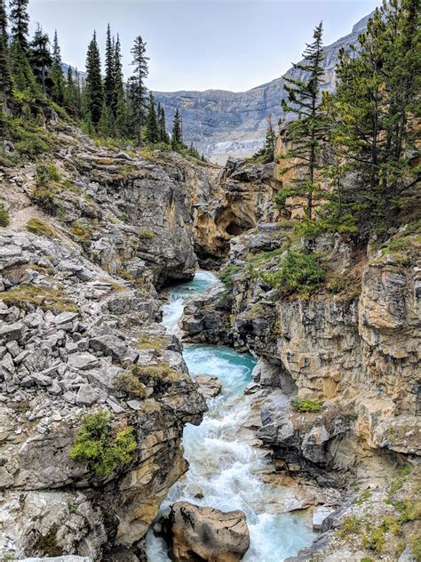 View Banff National Park Hiking Trails Pics - Anyuta