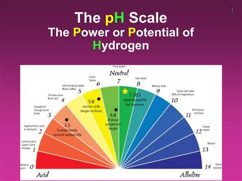 PH Scale Examples