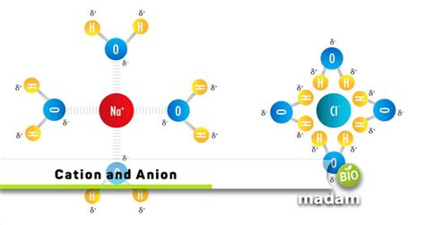 Difference Between Cations and Anions - biomadam