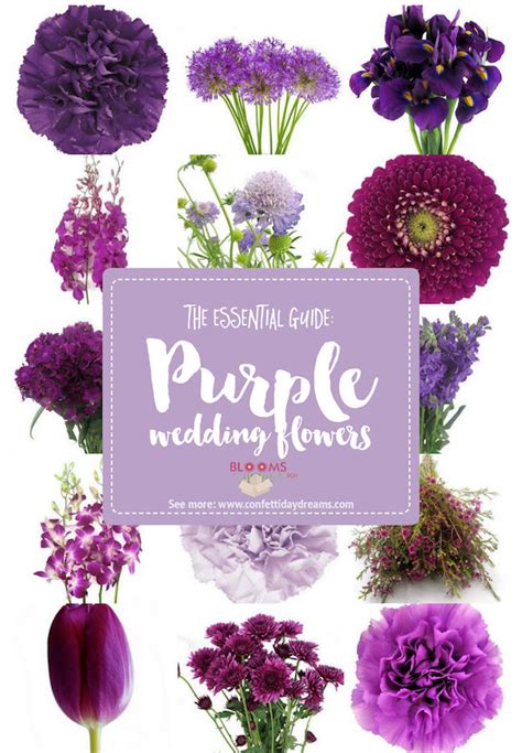 Complete Guide to Purple Wedding Flowers, Purple Flower Names + Pics