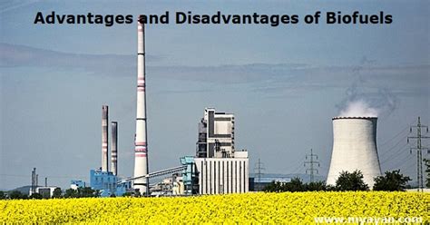 What are the advantages and disadvantages of Biofuels