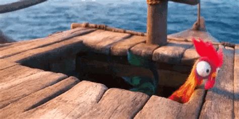 Heihei Stuck GIF - Heihei Stuck Moana - Discover & Share GIFs