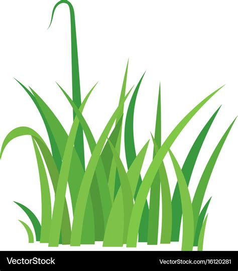 Fragment of a green grass Royalty Free Vector Image